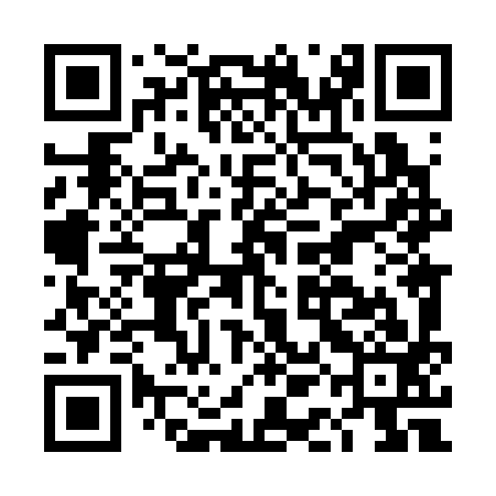 QR code for DAL393