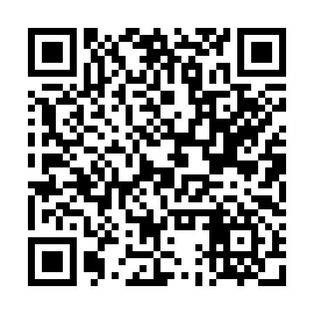 QR code for DAP397