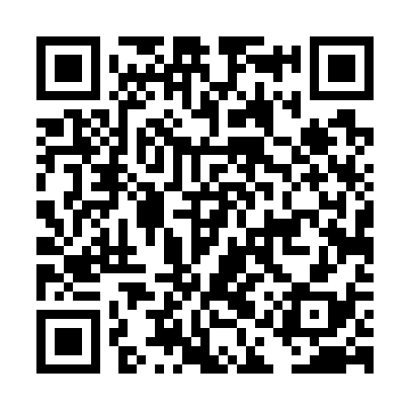 QR code for DAT738