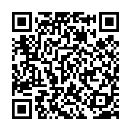 QR code for DAY499