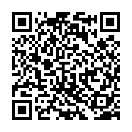 QR code for DDI578