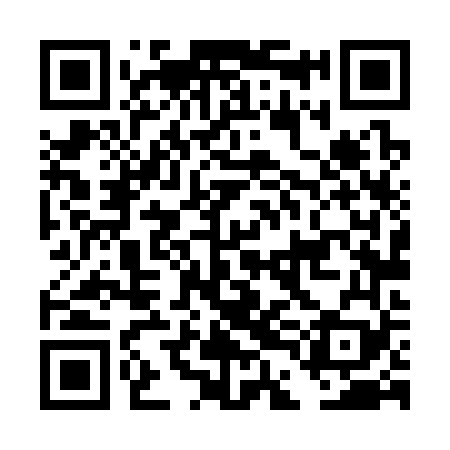 QR code for DDL369