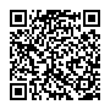 QR code for DDL741