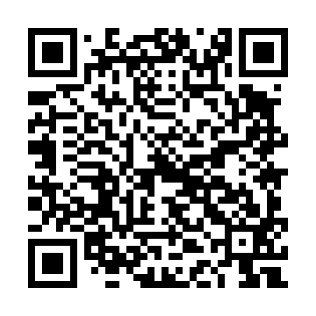 QR code for DDM493