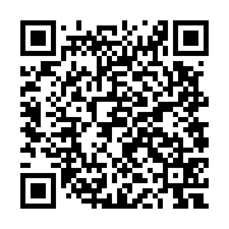 QR code for DDV575