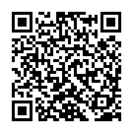 QR code for DDZ589