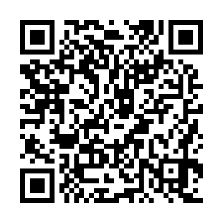 QR code for DDZ970