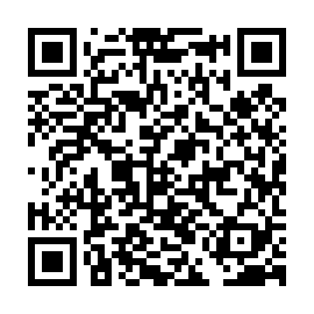 QR code for DEI429
