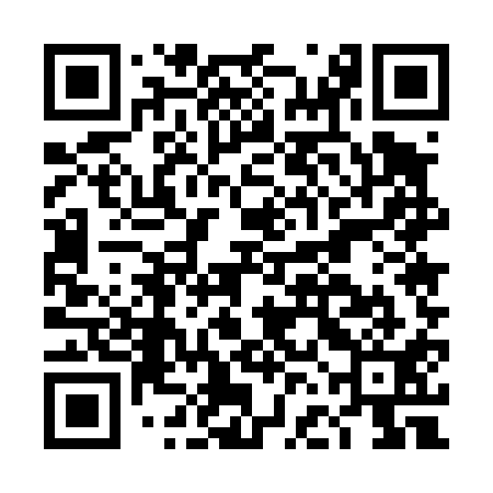 QR code for DFE411