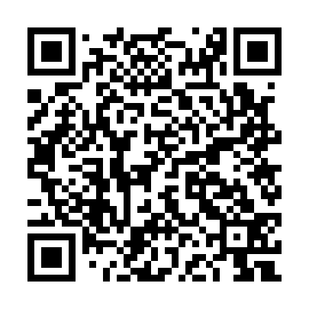 QR code for DFG133