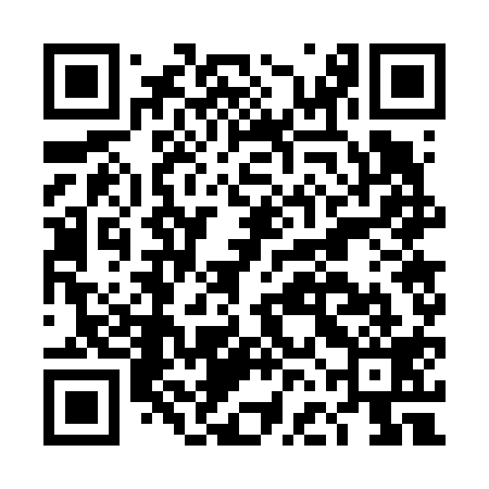 QR code for DFG619