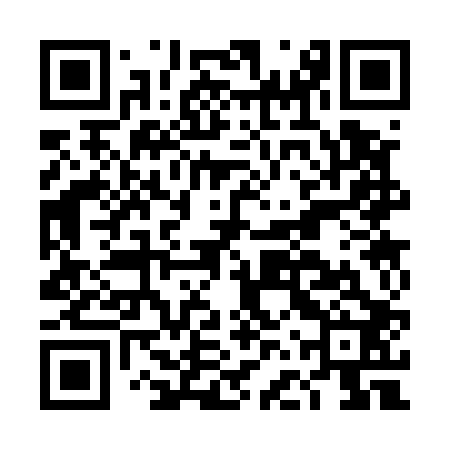 QR code for DFS502