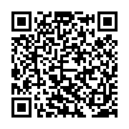 QR code for DFW493