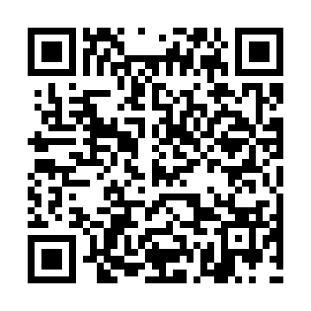 QR code for DGA333