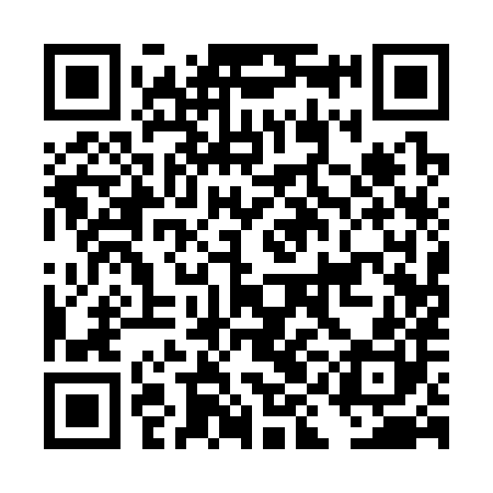 QR code for DIA380