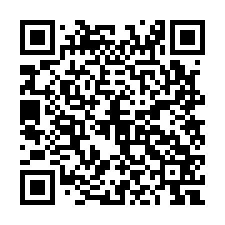 QR code for DIB163