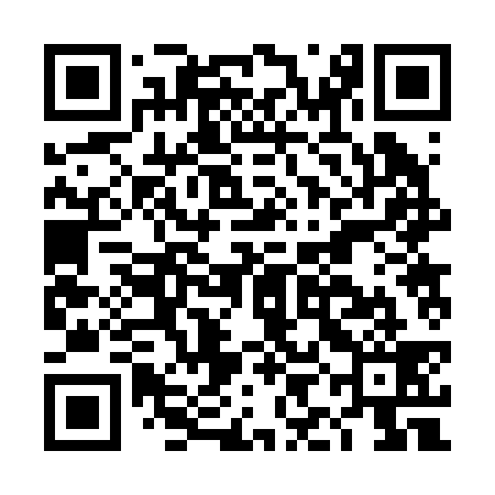 QR code for DIB239