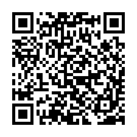 QR code for DIB397