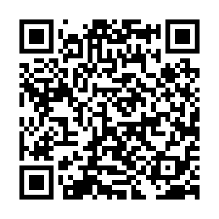 QR code for DID219