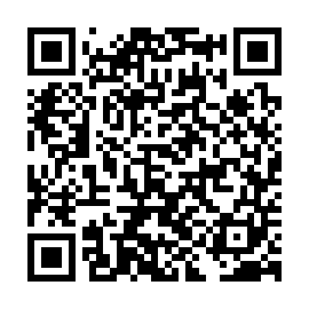 QR code for DIG341