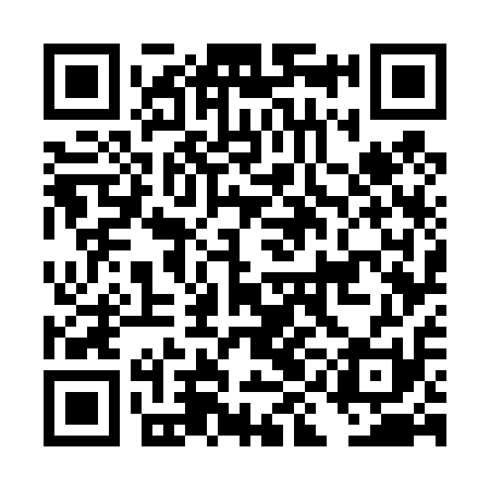 QR code for DIG411