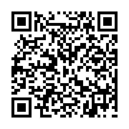 QR code for DIG698