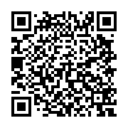 QR code for DII059