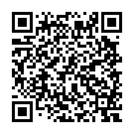 QR code for DIP084