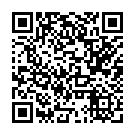 QR code for DIS939