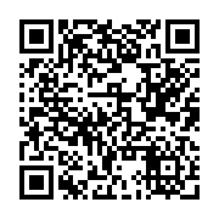 QR code for DIZ306