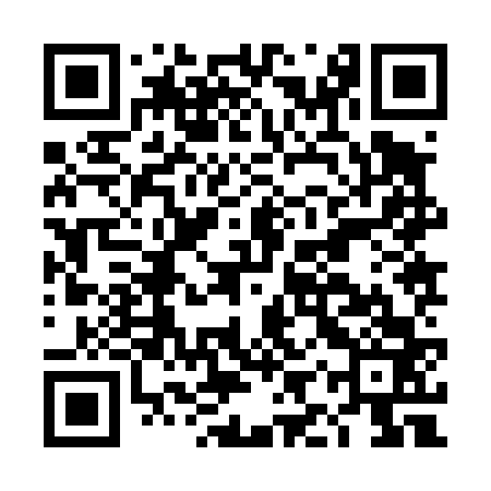 QR code for DIZ463