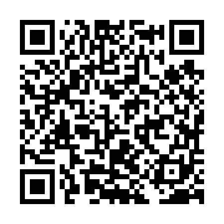 QR code for DIZ651