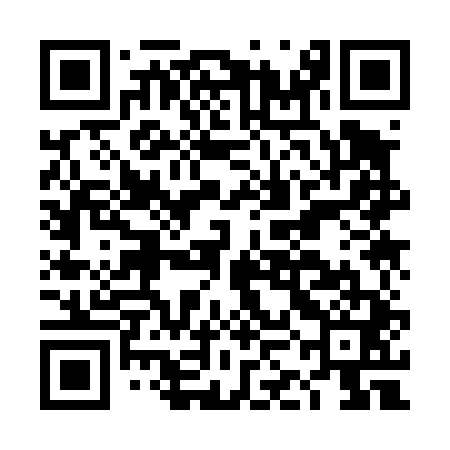QR code for DKK441