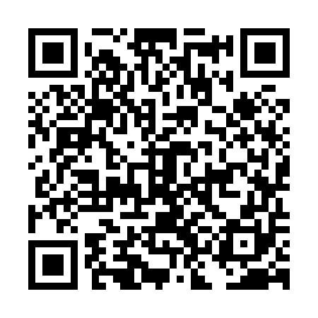 QR code for DKK850