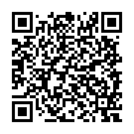 QR code for DLN595