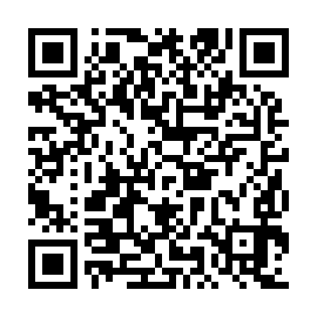 QR code for DMB993