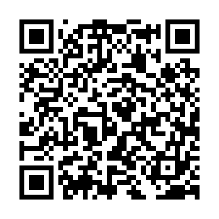 QR code for DMD273