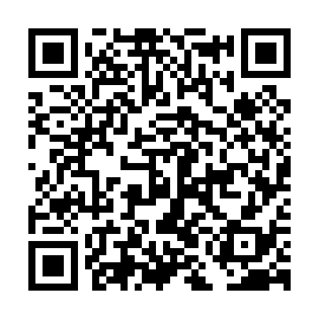 QR code for DMG038