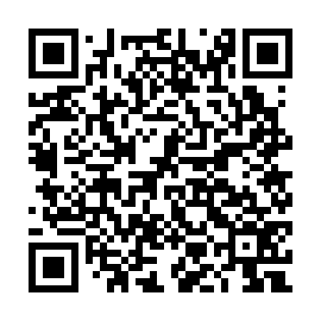 QR code for DMG376