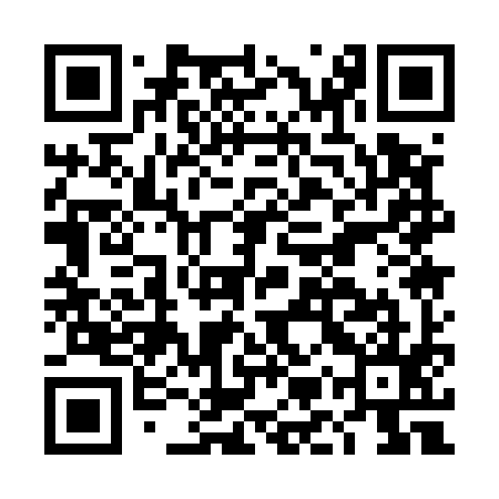 QR code for DMQ595