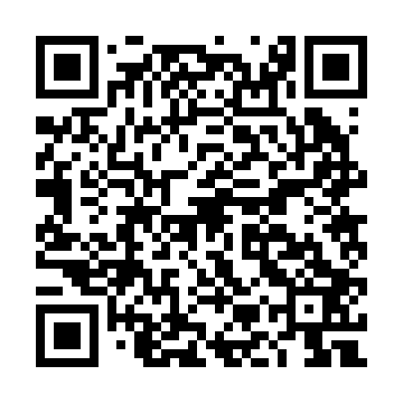 QR code for DMR203