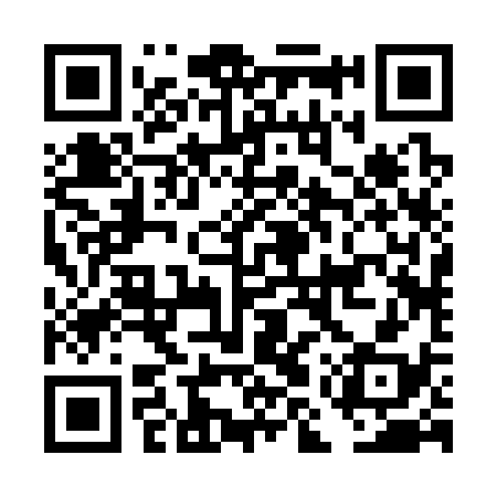 QR code for DMR338