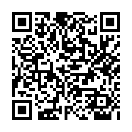 QR code for DMR509
