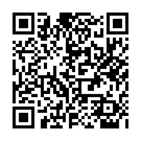 QR code for DMT739