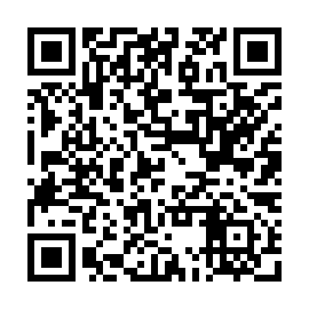 QR code for DMV991