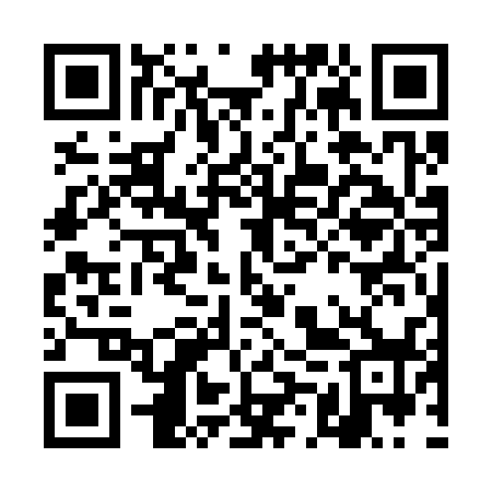 QR code for DMW338