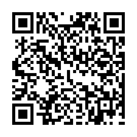 QR code for DNG391