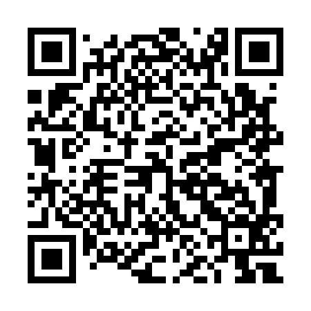 QR code for DNL196