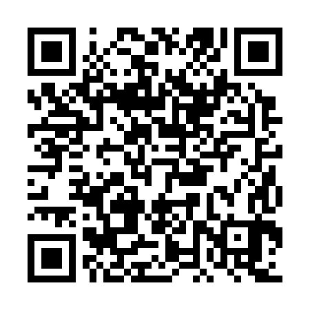 QR code for DNR383