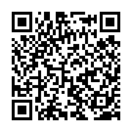 QR code for DNV611